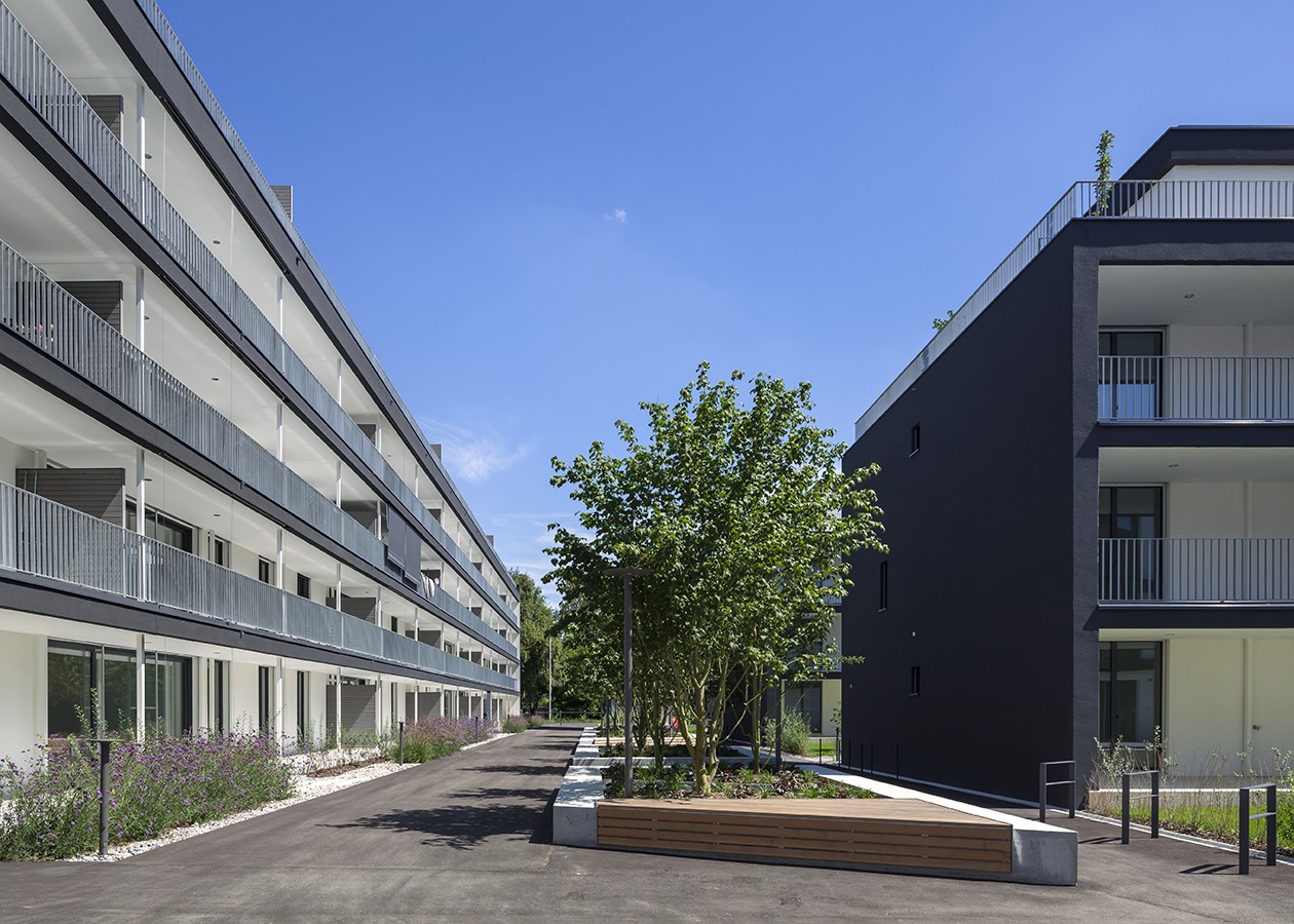 Bild GautschiPark_04